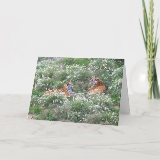 タイガースステップソン誕生日 カード (正面)