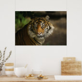 タイガースターク ポスター (キッチン)