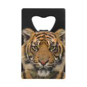 タイガー🐯ステンレス鋼ボトル開口器 クレジットカード栓抜き (正面)