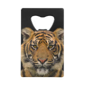 タイガー🐯ステンレス鋼ボトル開口器 クレジットカード栓抜き (裏面)