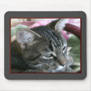 タイガーストライプ子猫マウスパッド マウスパッド
