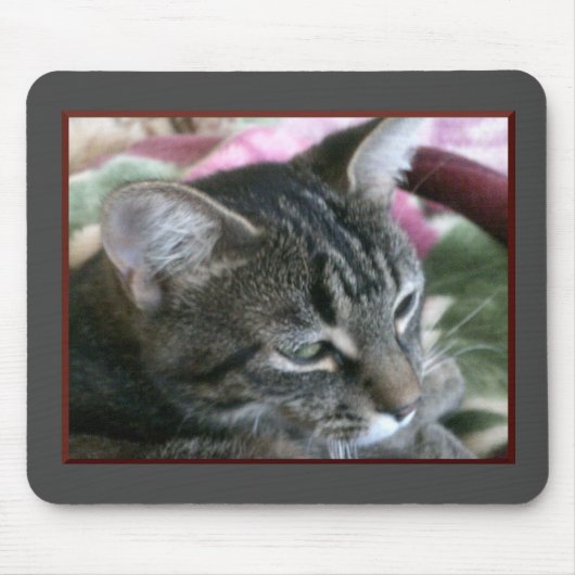 タイガーストライプ子猫マウスパッド マウスパッド (正面)