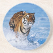 タイガーストーンコースター コースター (正面)