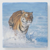 タイガーストーンコースター ストーンコースター (正面)