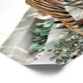 タイガースナリングプリント フォトプリント            (角)