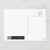 タイガースノーエンジェルホリデーポストカード シーズンポストカード (裏面)