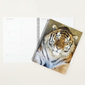 タイガースパイラルウィークリー/月次プランナー プランナー手帳 (ディスプレー)