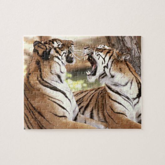 タイガースパズル ジグソーパズル (横)