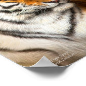 タイガースピリットファインアートポスター/プリント ポスター (角)