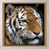 タイガースラバーズアートポスター ポスター (正面)