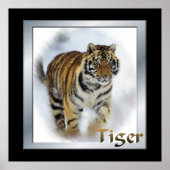 タイガースラバーズアート ポスター (正面)