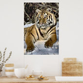 タイガースラバーズアート ポスター (キッチン)