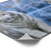 タイガースリトリート ポスター (角)