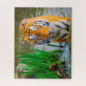 タイガース大きな猫。 ジグソーパズル (縦)