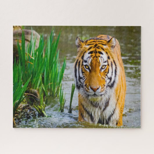 タイガース大きな猫。 ジグソーパズル (横)