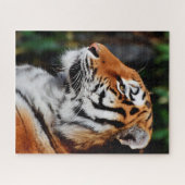 タイガース大きな猫。 ジグソーパズル (横)