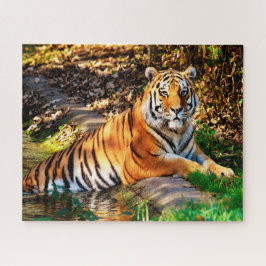 タイガース大きな猫。 ジグソーパズル