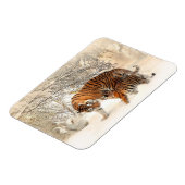 タイガース科 マグネット (左側)