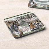 タイガース、ゼブラ、キリン初期の、ジャングル コースター (左側)