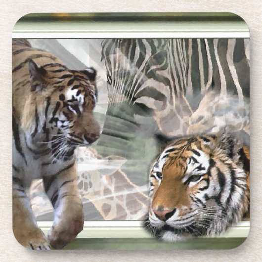 タイガース、ゼブラ、キリン初期の、ジャングル コースター (正面)