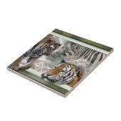 タイガース、ゼブラ、キリン初期の、ジャングル タイル (側面)