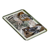 タイガース、ゼブラ、キリン初期の、ジャングル マグネット (右側)