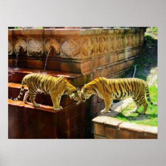 タイガース ポスター