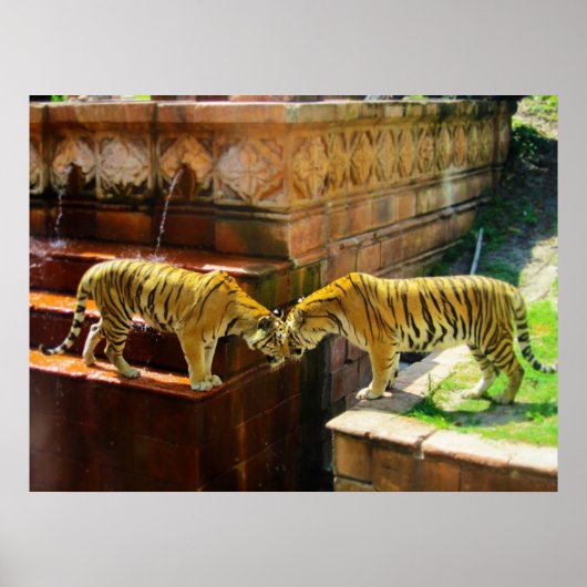 タイガース ポスター (正面)