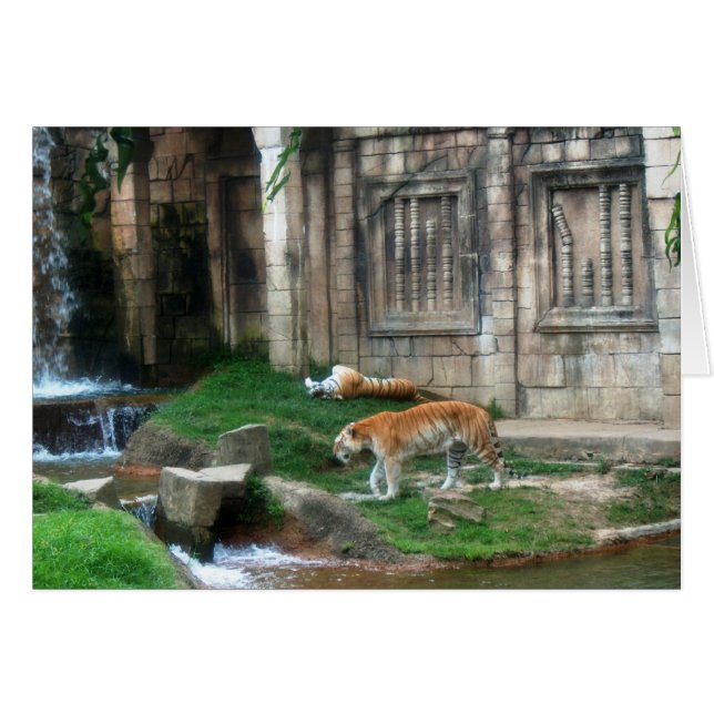 タイガーズデン (正面横)