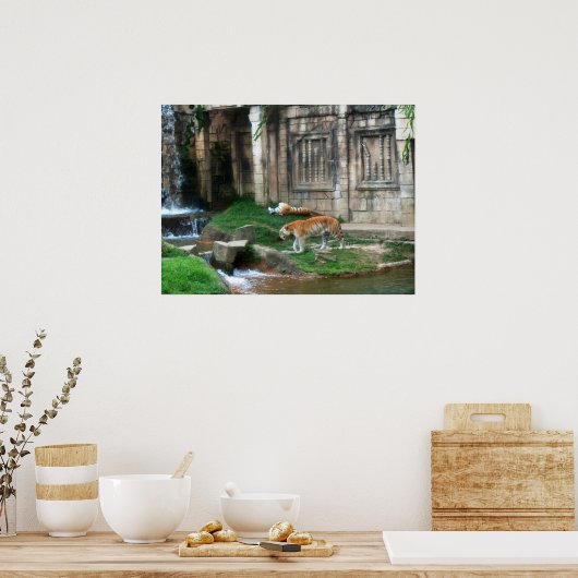 タイガーズデン ポスター (キッチン)