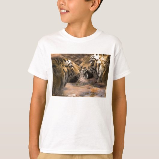 タイガータイガース猫の動物ストライプの模様の前版画 Tシャツ (正面)