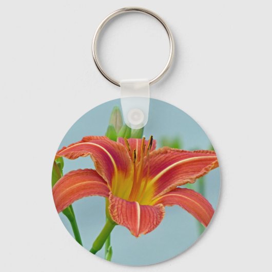 タイガーデイリー キーホルダー (正面)