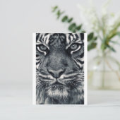 タイガーデザイン ポストカード (スタンド正面)