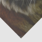 タイガートロピカルパーム 薄葉紙 (詳細)