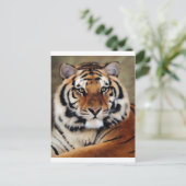 タイガーバイサイコ ポストカード (スタンド正面)