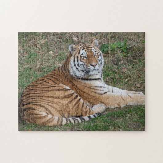 タイガーパズル ジグソーパズル (横)