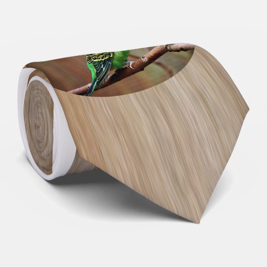 タイガーパレーケ ネクタイ (ロール)