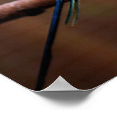 タイガーパレーケ ポスター (角)