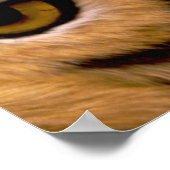 タイガーフォトポスタープリント ポスター (角)