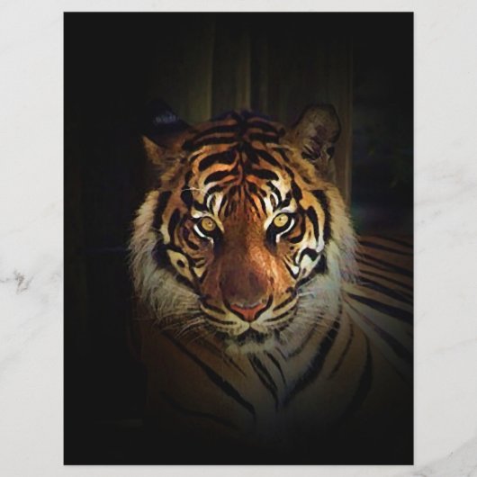 タイガーフライヤー チラシ (正面)