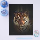 タイガーフライヤー チラシ (シングル)