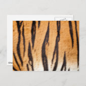 タイガープリントはがき ポストカード (正面/裏面)