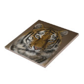 タイガープロファイル タイル (側面)