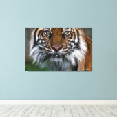 タイガーヘッドと顔 キャンバスプリント (インサイチュ (ウッドフロア))