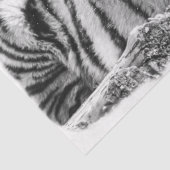 タイガーベンガル白雪 薄葉紙 (詳細)