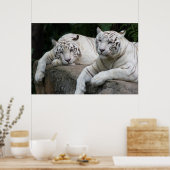 タイガーペア ポスター (キッチン)