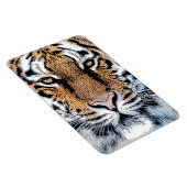 タイガーポートレートイングラフィックプレススタイル マグネット (右側)