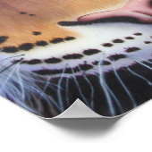 タイガーポートレート ポスター (角)