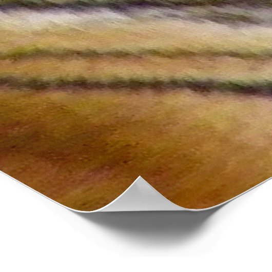 タイガーマウス_ ポスター (角)