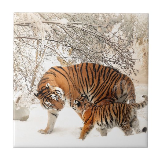 タイガーマザーとベビー タイル (正面)